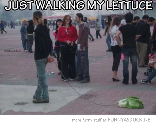 Just Walking My Lettuce