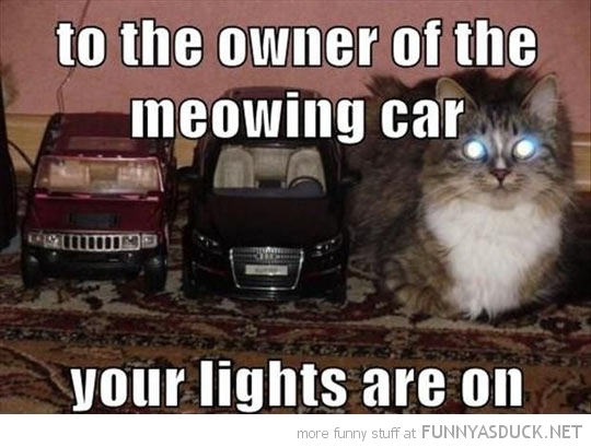 Meowing Car