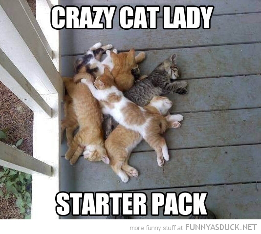 Crazy Cat Lady