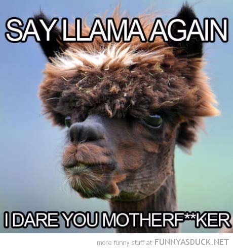 Samuel L Llama