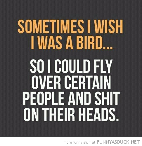 I Wish I Was A Bird