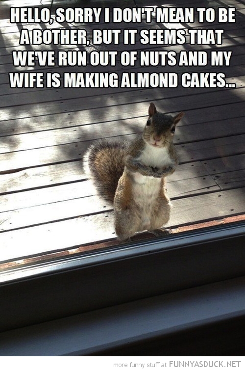 Almond Cakes