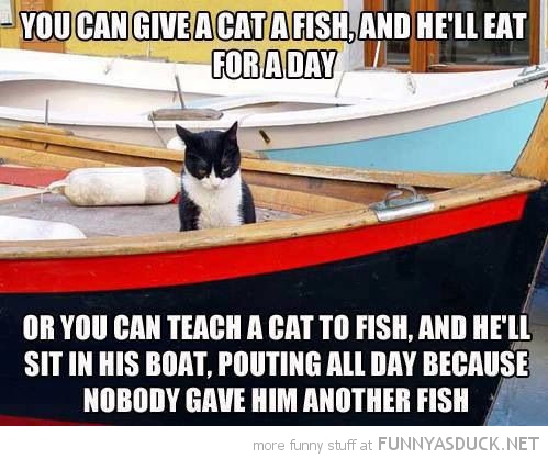 Give A Cat A Fish