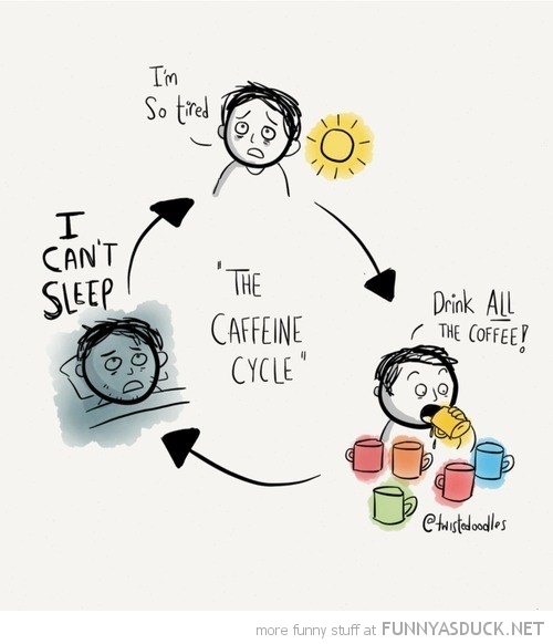 The Caffeine Cycle