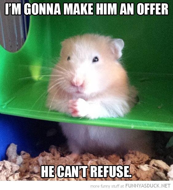 Hamster Don