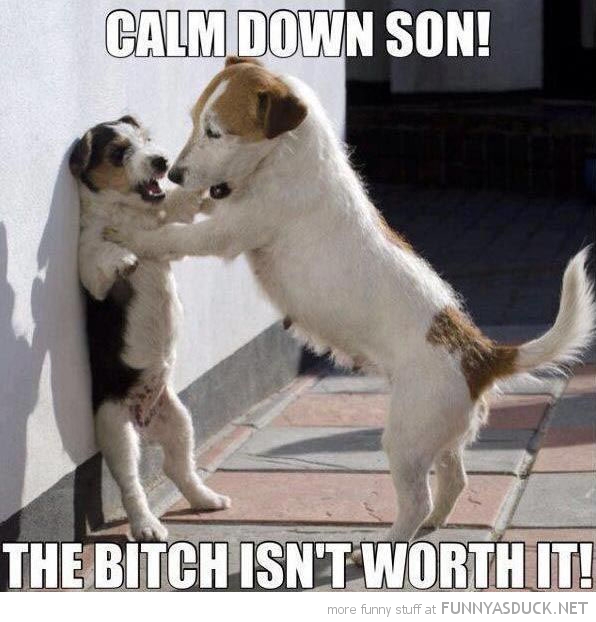 Calm Down Son!