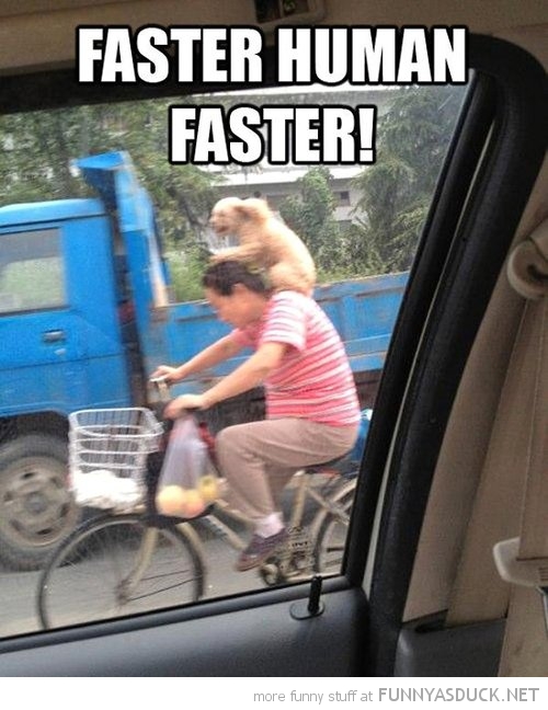 Faster Human