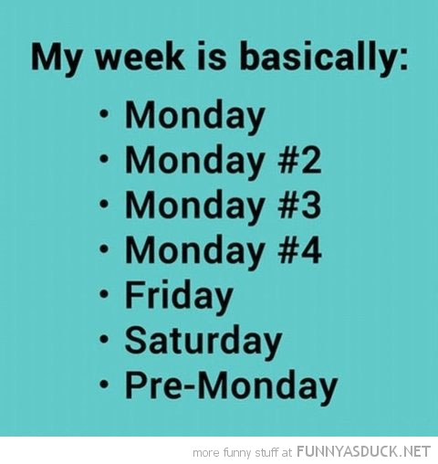 My Week