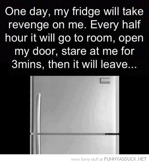 Revenge Of The Fridge