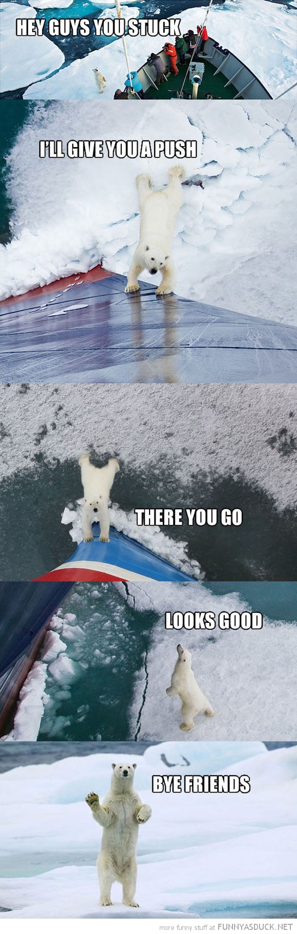 Good Guy Polar Bear