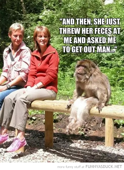 Monkey Problems