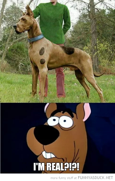 Real Life Scooby Doo