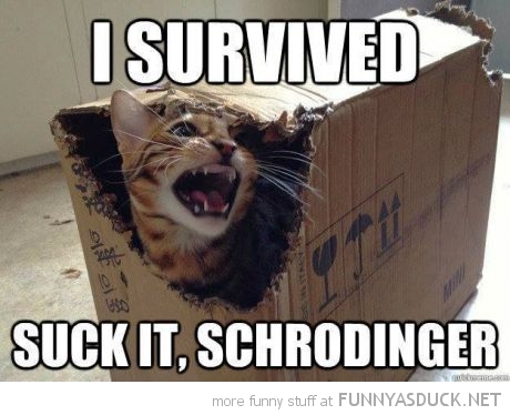 I Survived