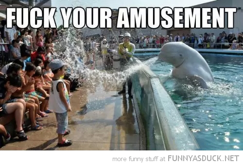 F*ck Your Amusement