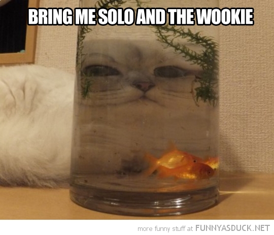 Bring Me Solo