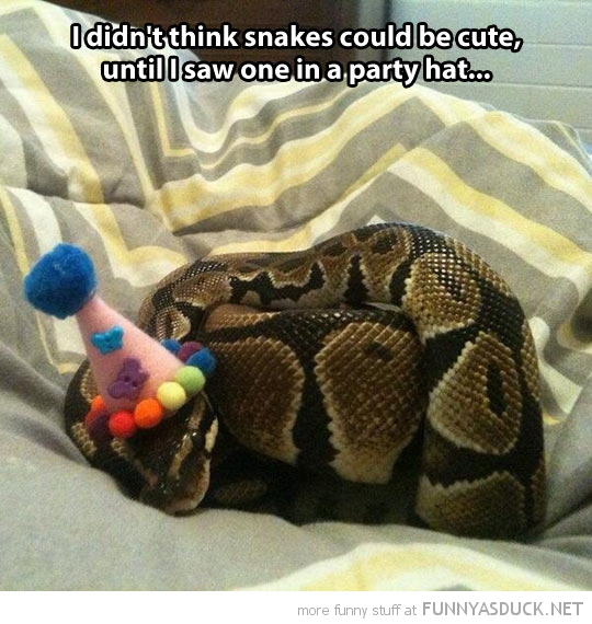 Party Snake