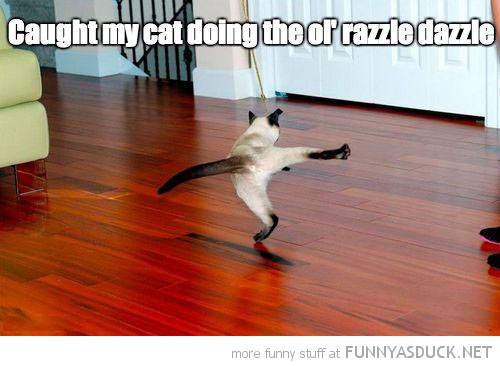 The Ol' Razzle Dazzle