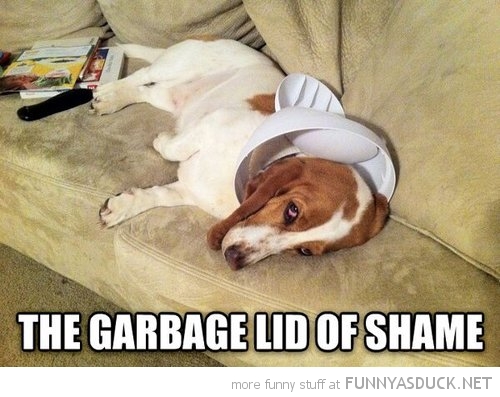 The Garbage Lid Of Shame