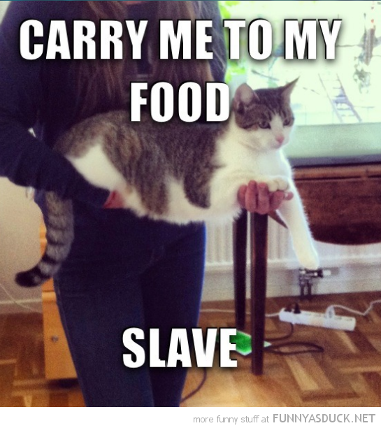 Carry Me, Slave