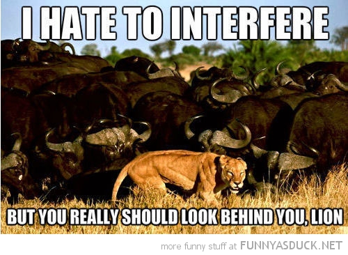 I Hate To Interfere...