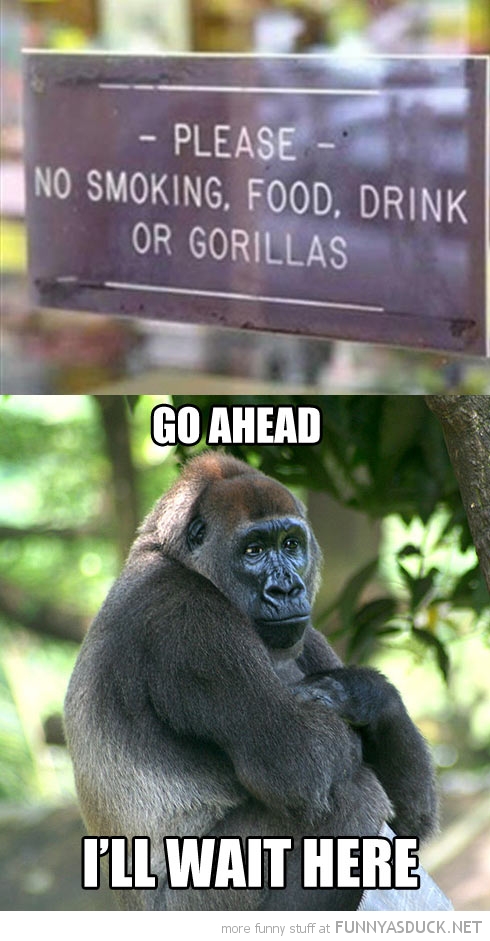 No Gorillas