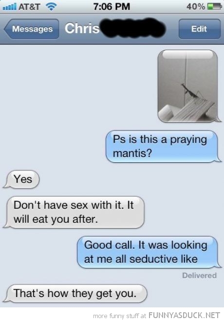 Seductive Mantas