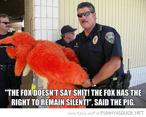 What Does The Fox Say?