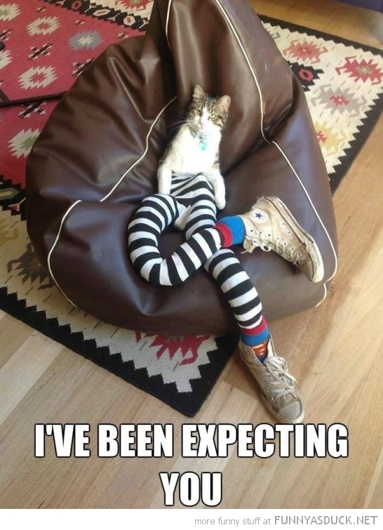 I've Been Expecting You