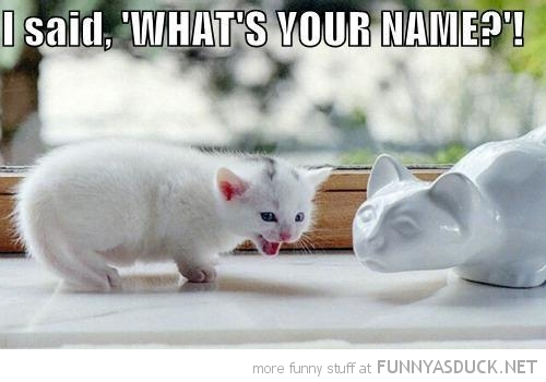 What's Your Name?