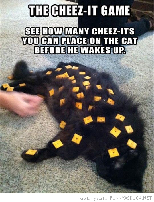 The Cheez-It Game