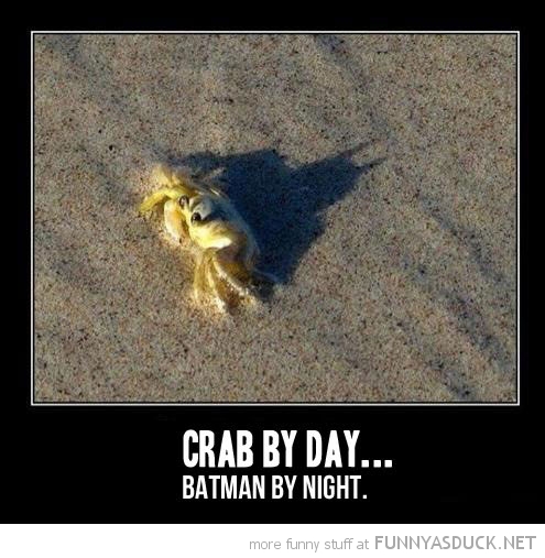 Crab By Day...