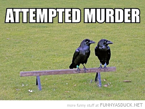 Attempted Murder