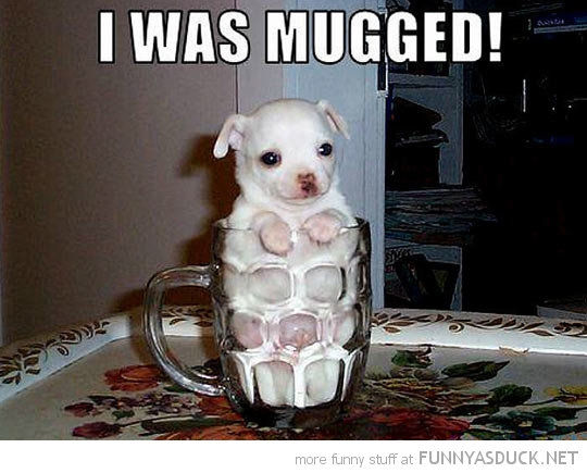 I Was Mugged