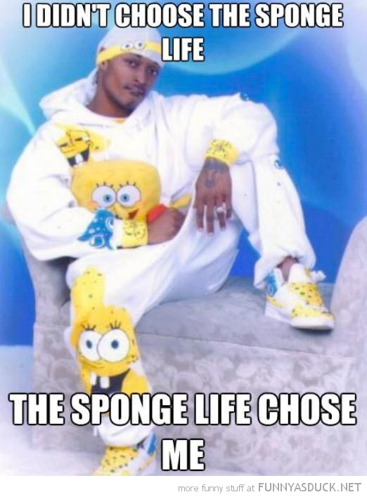 The Sponge Life