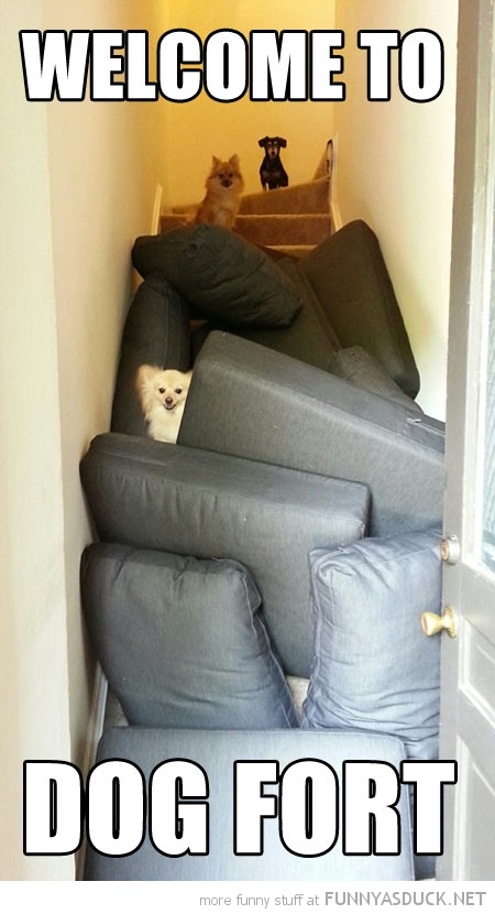 Dog Fort