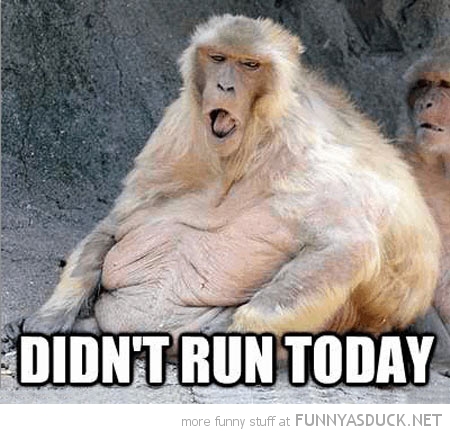 Didn't Run Today