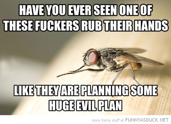 Evil Plan