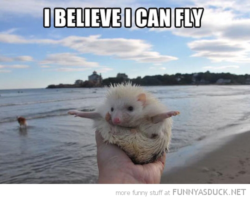 I Can Fly