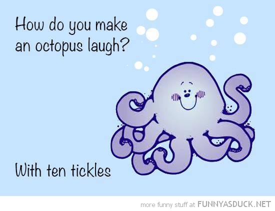 Make An Octopus Laugh