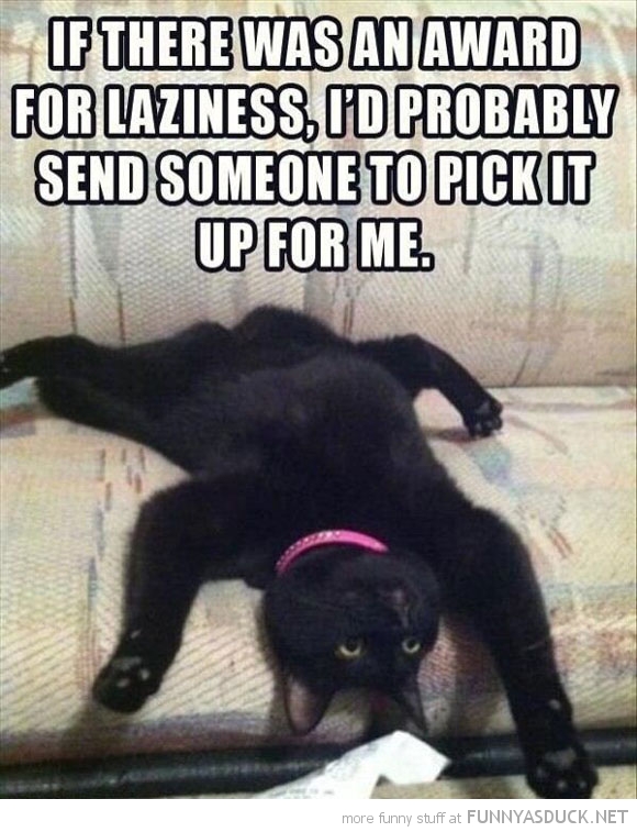 Award For Laziness