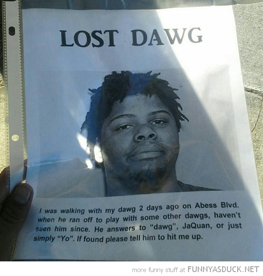 Lost Dawg