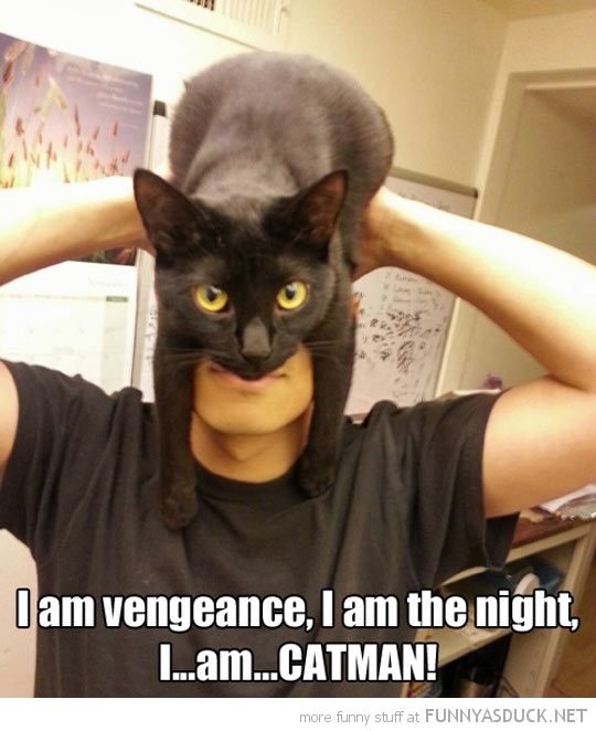 Catman