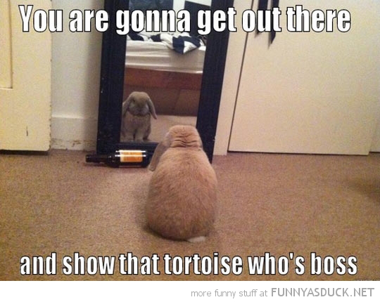 Motivated Hare