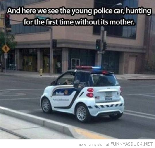Young Police Car