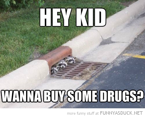 Hey Kid