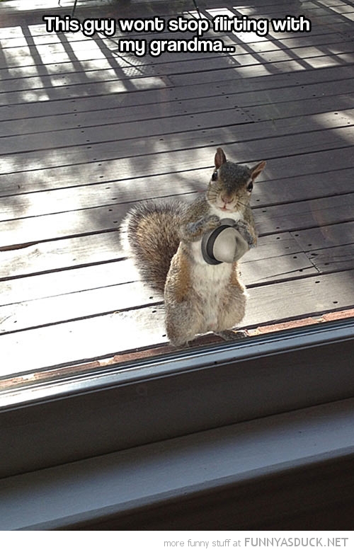 Flirty Squirrel