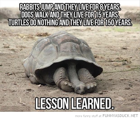 Lesson Learned