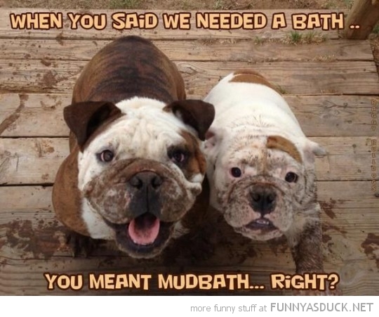 Mud Bath