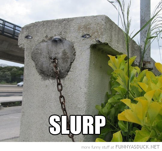 Slurp