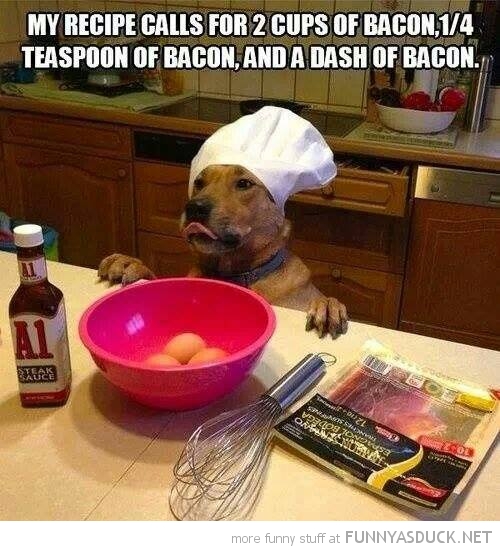 Chef Dog